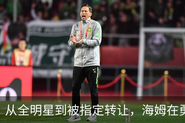 从全明星到被指定转让，海姆在勇士只打了12场