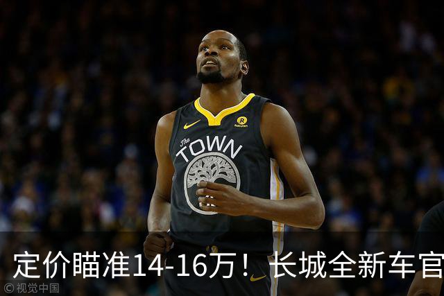 定价瞄准14-16万！长城全新车官宣，年内就能买到